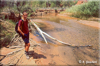 Am Ufer des Escalante River